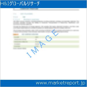 市場と産業調査レポートのイメージ